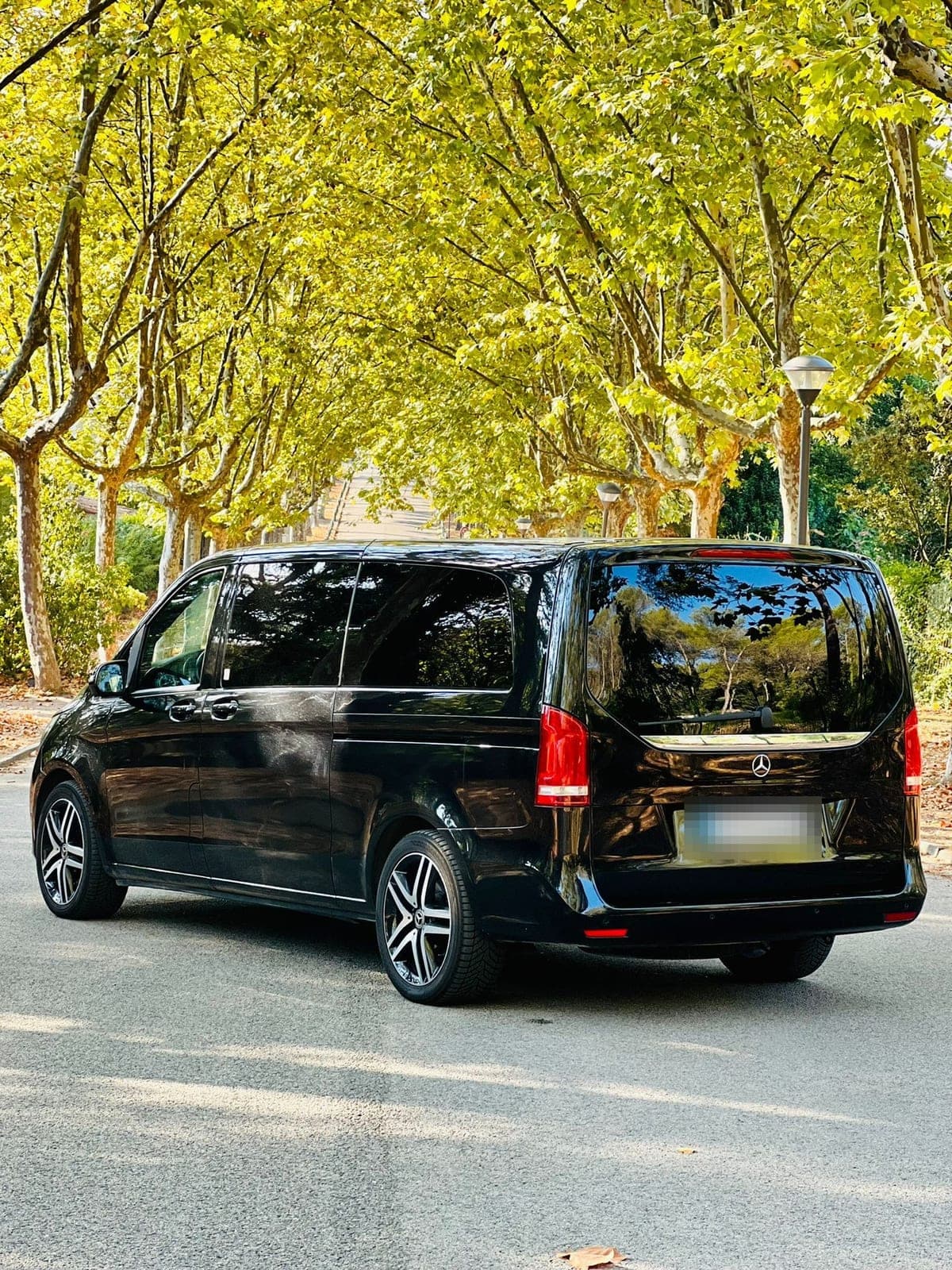 Mercedes V-Class VIP