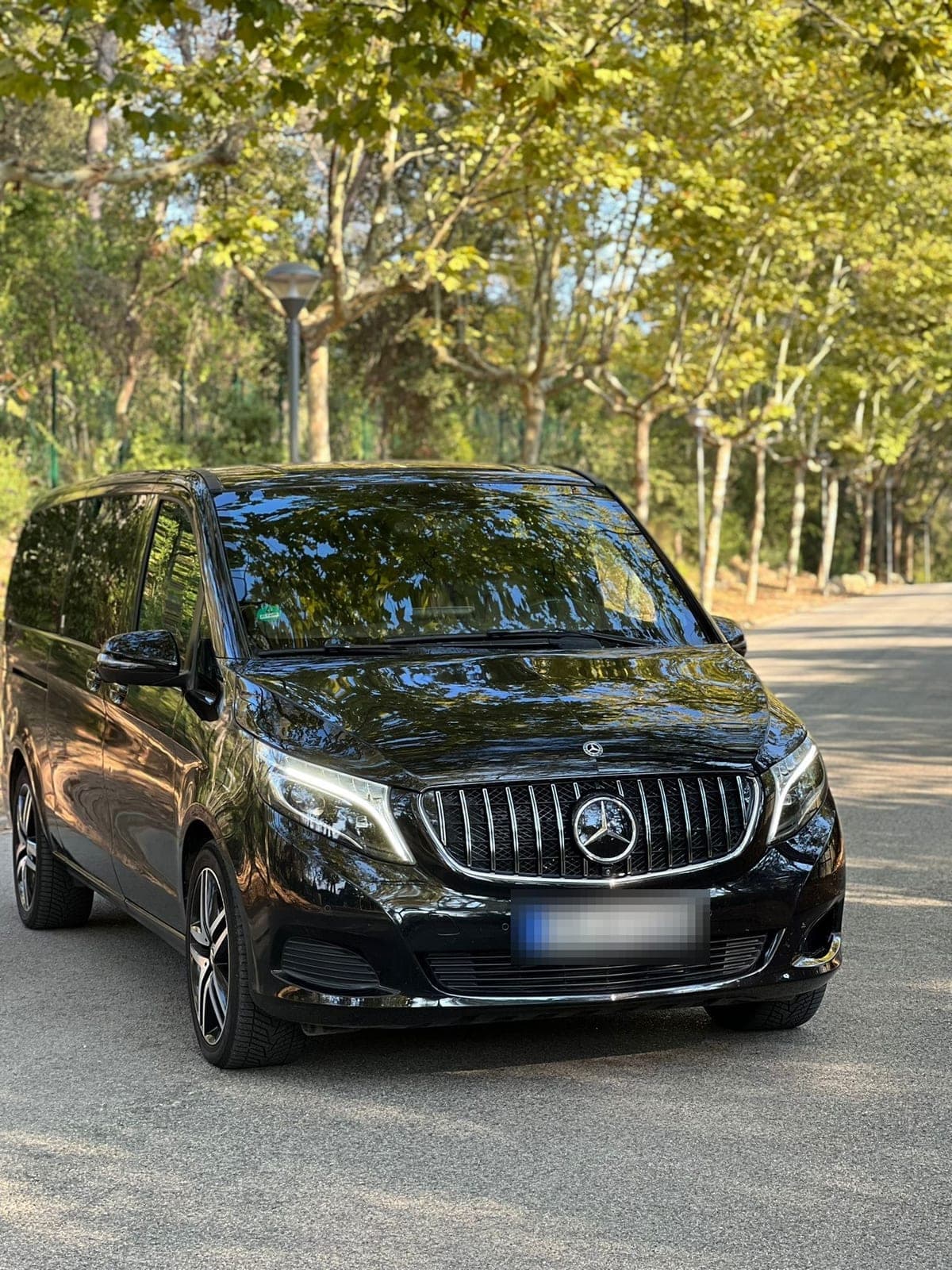 Mercedes V-Class VIP
